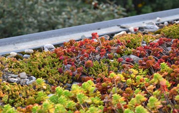 the cost of Great Mongeham green roof installation